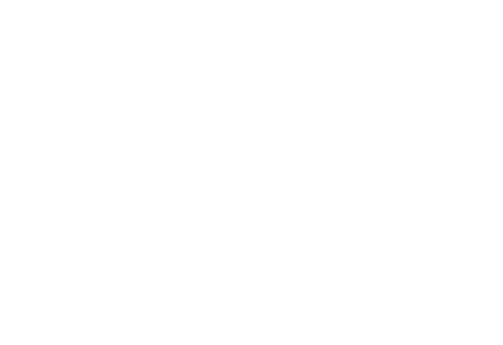 Costa Palmas