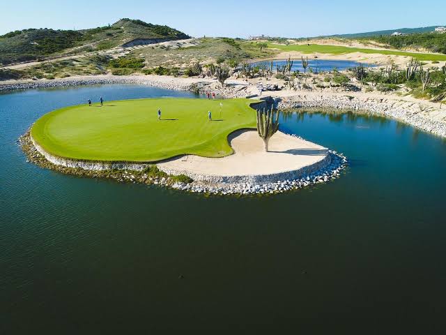 Aerial view of the island green of Solmar Golf Links with a lone cardón cactus